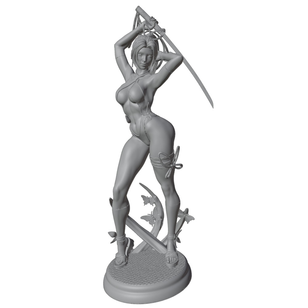 1/24 Female 	Warrior Resin Mod - 3D Printing Apps 评论和价格