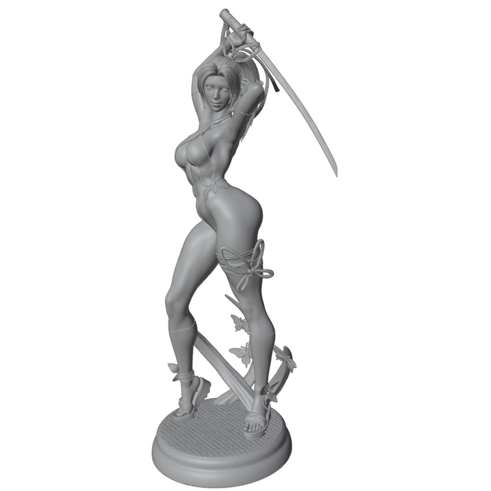 1/24 Female 	Warrior Resin Mod - 3D Printing Apps 评论和价格